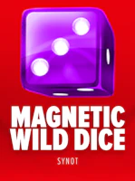 Magnetic Wild Dice