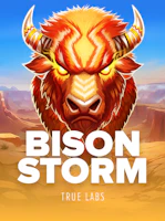 Bison Storm