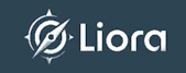 game_kurator_group.liora_games