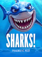 Sharks!