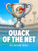 Quack of the Net