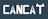CanCat