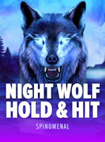 Night Wolf - Hold & Hit