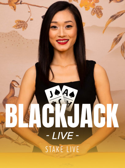Stake Blackjack Lobby Social Casino Game by Stake Live Stake.us