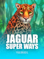 Jaguar Super Ways