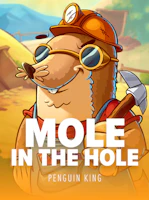Mole In The Hole