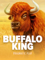 Buffalo King