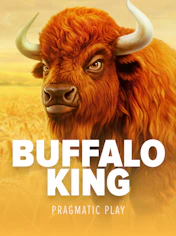 Buffalo King