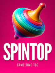 Spin Top