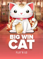 Big Win Cat