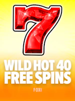Wild Hot 40 Free Spins 