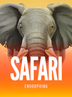 Safari