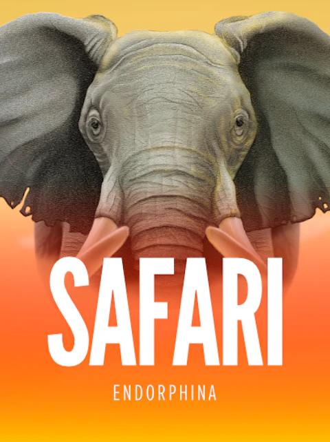 Safari