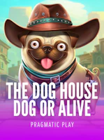 The Dog House - Dog or Alive