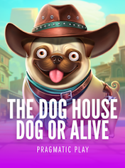 The Dog House - Dog or Alive