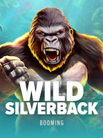 Wild Silverback