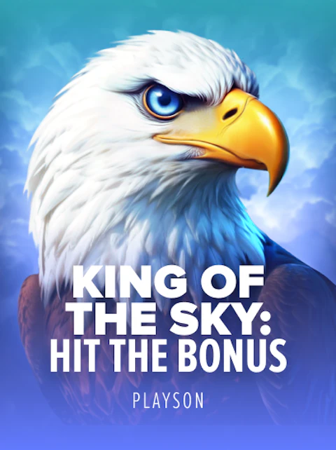 King of the Sky: Hit the Bonus