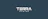 Terra Gaming