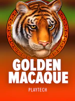 Golden Macaque