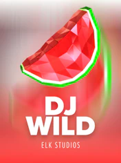 DJ Wild