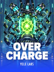 OVERCHARGE