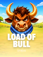 Load Of Bull