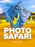 Photo Safari
