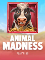 Animal Madness