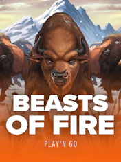 Beasts of Fire