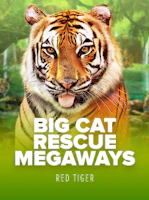 Big Cat Rescue Megaways