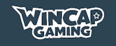 game_kurator_group.wincap_gaming