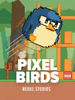 Pixel Birds