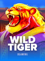 Wild Tiger