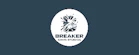 Breaker Game Studios