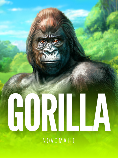 Gorilla Free Slot Game by Novomatic - Stake.us