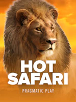 Hot Safari