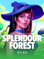 Splendour Forest