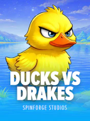 Ducks vs Drakes