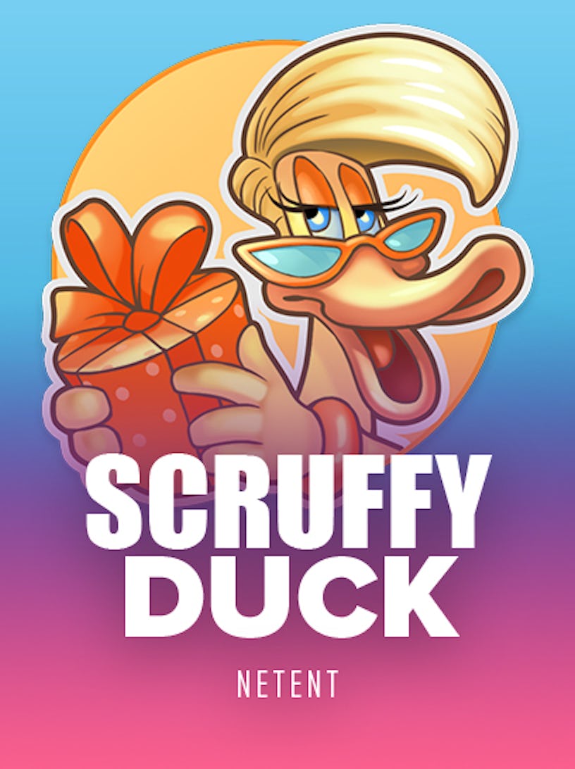 Scruffy Duck Touch