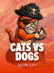 Cats vs dogs