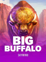 Big Buffalo