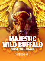 Majestic Wild Buffalo - Dusk Till Dawn