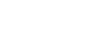 Spin Vortex