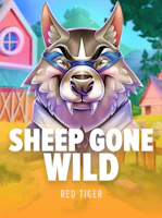 Sheep Gone Wild