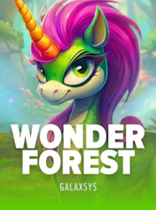 Wonder Forest