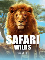 Safari Wilds