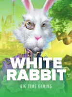 White Rabbit