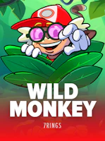 Wild Monkey