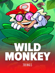 Wild Monkey