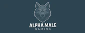 game_kurator_group.alpha_male_gaming